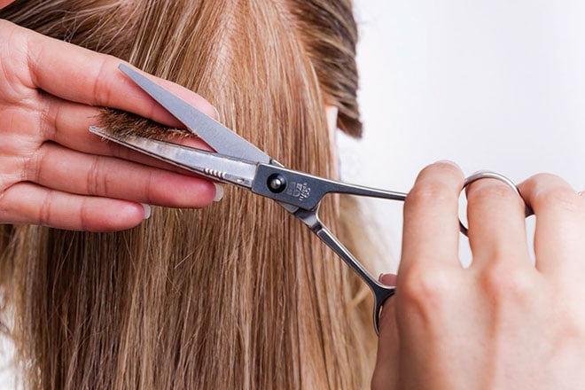 All About Feather Switch Blade Shears