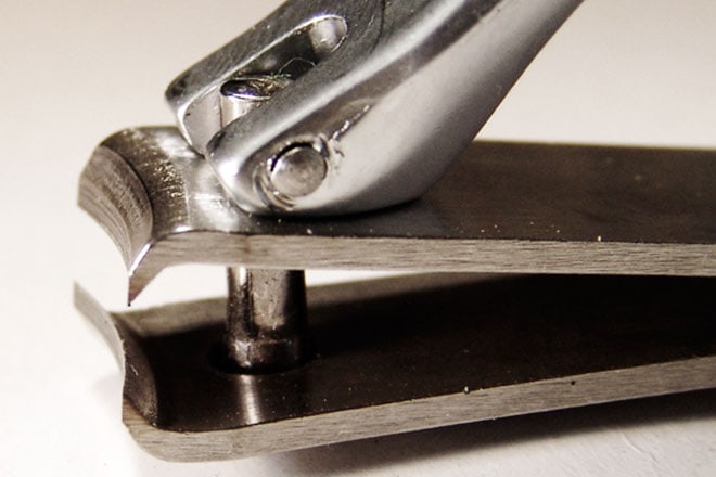 We Made the Top 100 Popular Products on Wirecutter