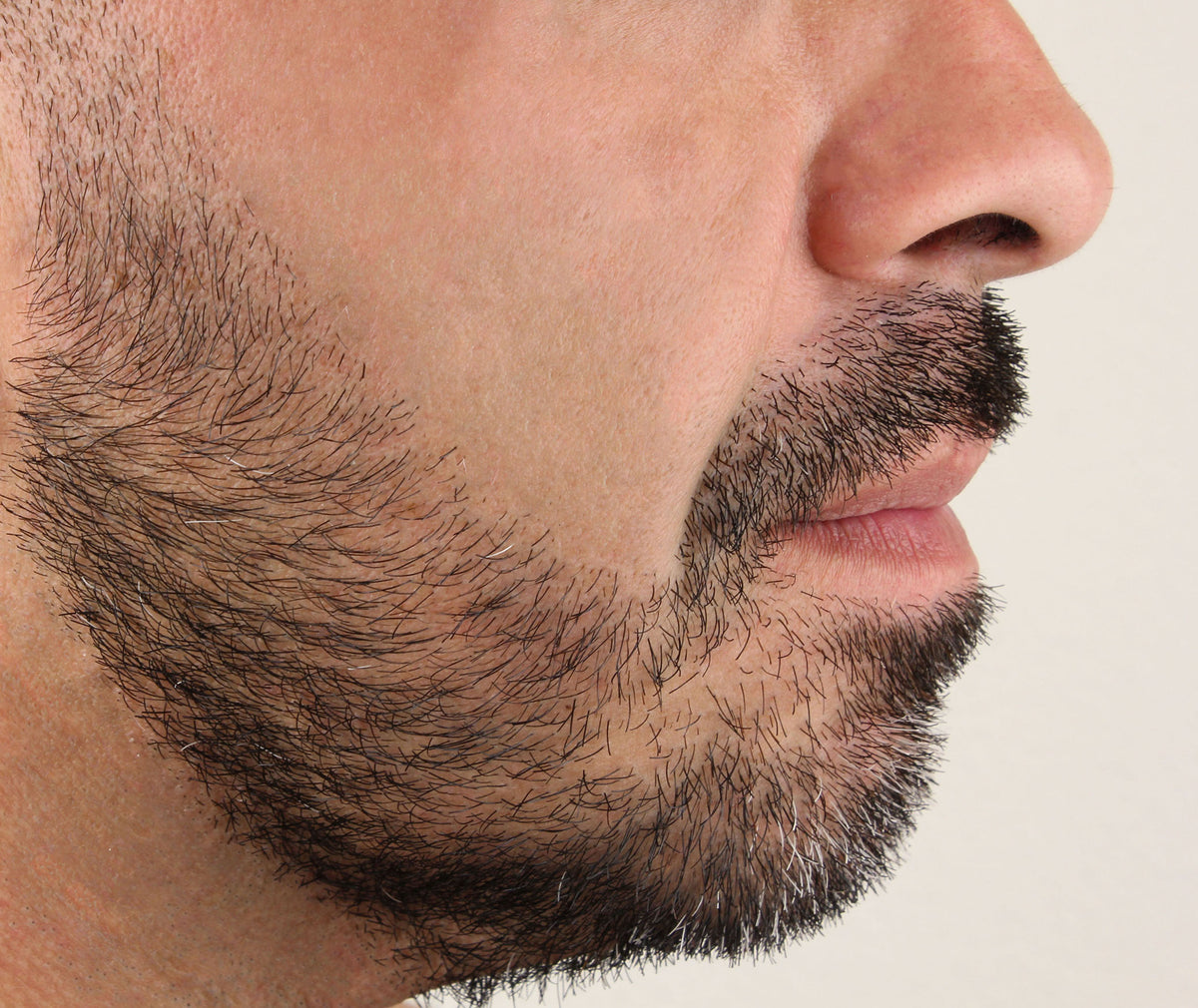 Feather Nape and Body Razor line up shaving