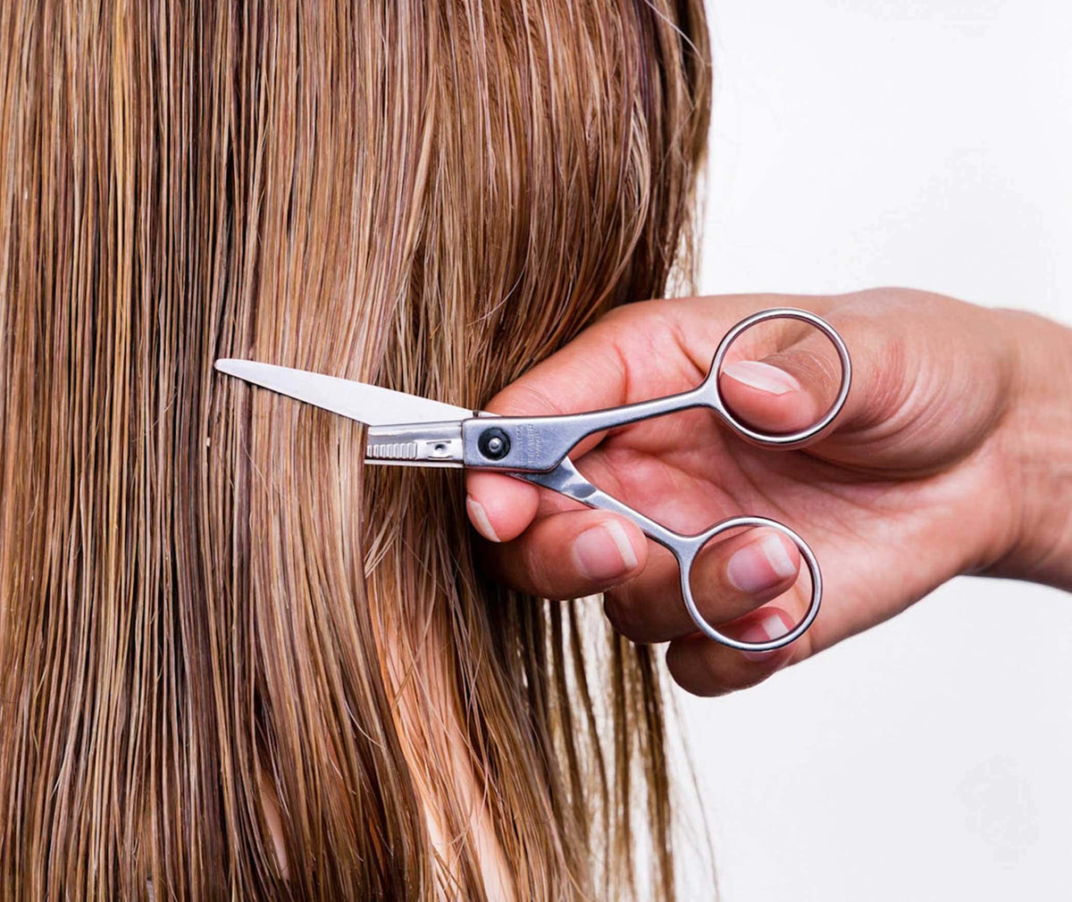 Feather Switch Blade Shears with no Tang