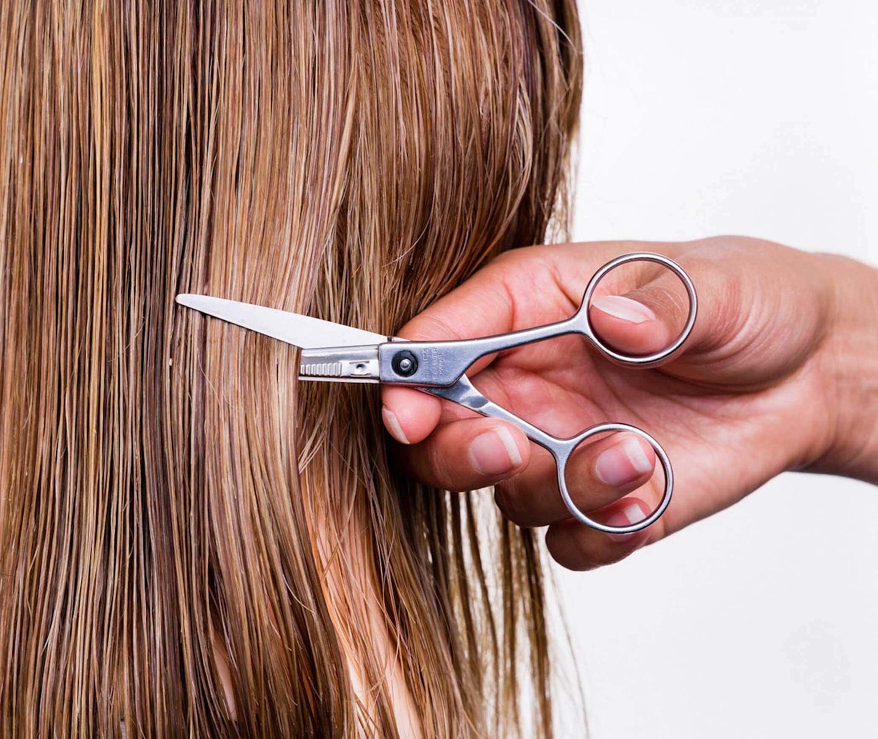 Feather Switch Blade Shears with no Tang