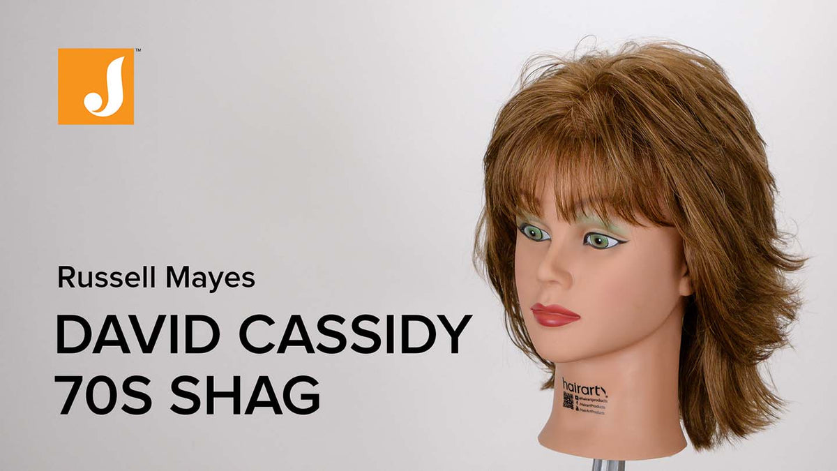 David Cassidy Hair