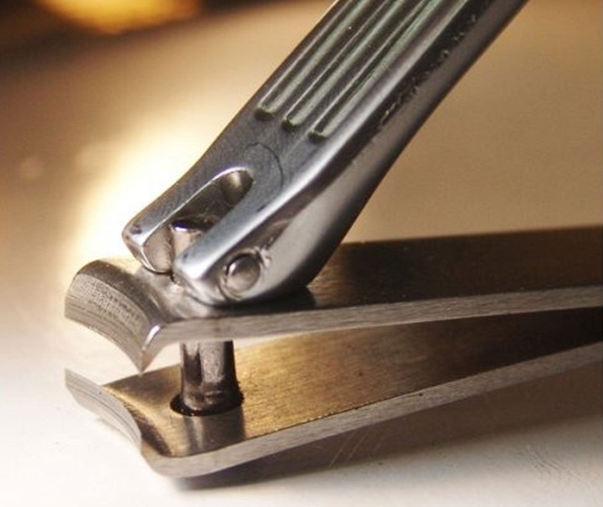 Seki Edge Stainless Steel Toenail Clipper (SS-107) | JATAI