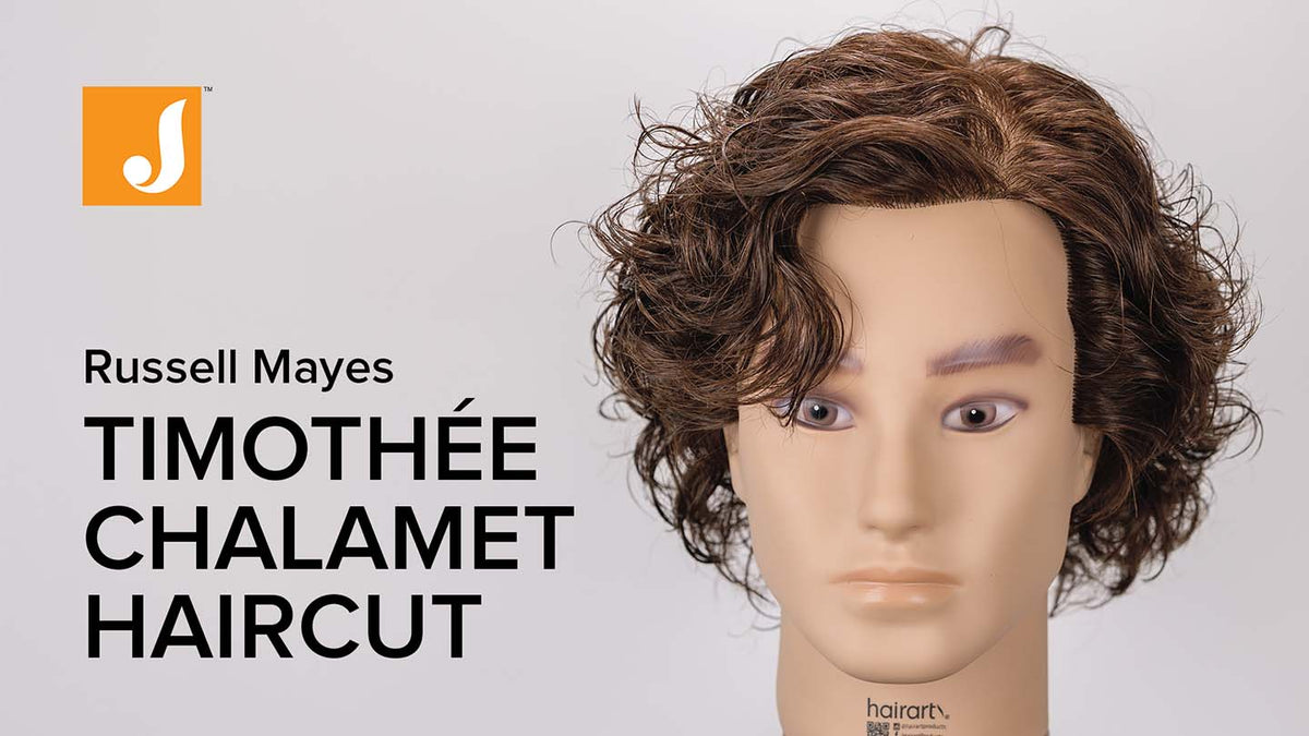 Timothee Chalamet Hairstyle Dune