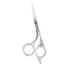 Seki Edge Stainless Steel Grooming Scissors (SS-910)