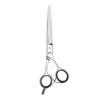 JATAI Tokyo Scissors 6.0 (J-160) BMAC